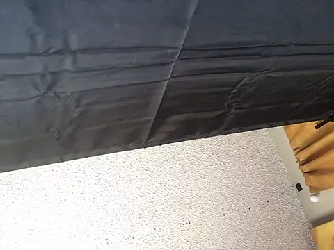 Snapshot of lilthicky352 chatting on October 17, 4:20 pm lilthicky352 online show from October 17, 4:20 pm