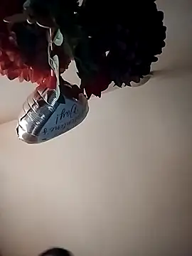 Snapshot of Tomiking69 chatting on November 3, 10:05 am Tomiking69 online show from November 3, 10:05 am