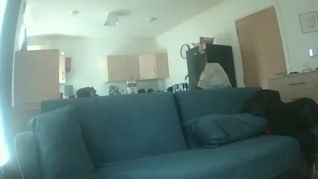 avamaxwell online show from May 21, 11:28 am