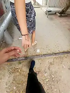 Snapshot of lilobaby chatting on October 19, 8:53 pm lilobaby online show from October 19, 8:53 pm