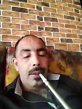 Snapshot of salimbasha chatting on May 17, 8:55 am salimbasha online show from May 17, 8:55 am