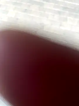 kamo012000 online show from October 9, 2:37 pm