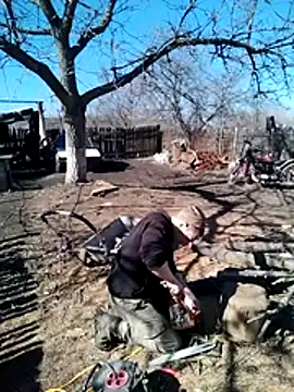 Alexilon online show from March 10, 11:15 am