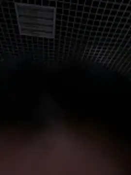 Snapshot of Liza_Will chatting on February 20, 9:00 am Liza Will online show from February 20, 9:00 am