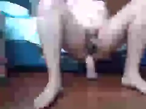 Culazodeantonellarocuzzo online show from September 15, 3:34 pm