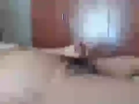 Culazodeantonellarocuzzo online show from February 26, 3:44 pm