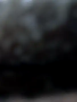 rociomilf online show from December 1, 3:11 am