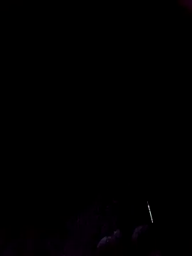 Ridick2025 online show from November 19, 8:47 am