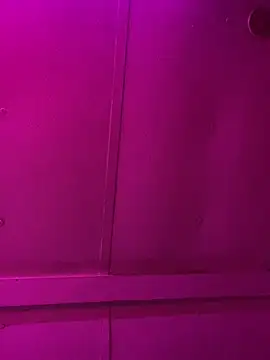 Snapshot of jcwxt chatting on March 1, 11:56 am jcwxt online show from March 1, 11:56 am