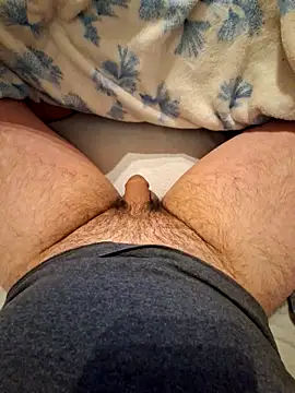 Pegasus9 online show from March 7, 9:17 am