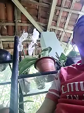 Boragozarvem online show from October 7, 2:58 pm