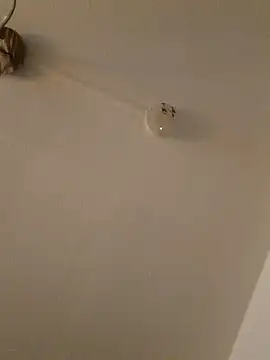 Snapshot of LightskinBumpa chatting on November 15, 2:09 am LightskinBumpa online show from November 15, 2:09 am