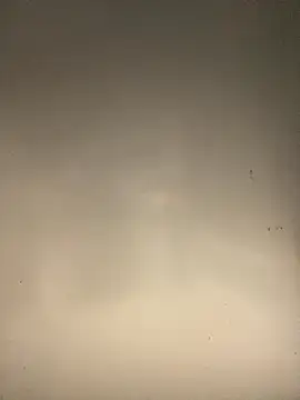 sasatimido online show from October 14, 3:13 pm