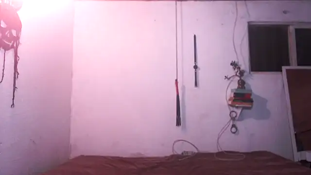 indomitaFox online show from December 4, 3:38 am