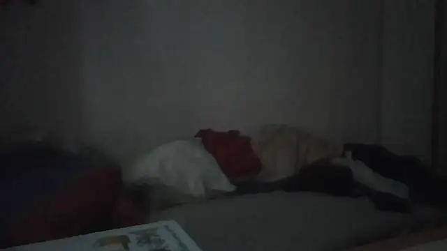 ARTANIS20 online show from January 11, 7:35 am