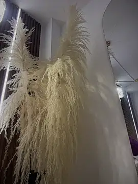 Anita-vega online show from December 19, 9:11 pm