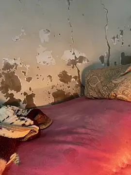 ParousFlow online show from February 2, 2:16 pm