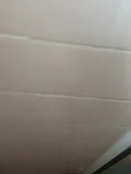 Guero661 online show from September 22, 5:04 pm