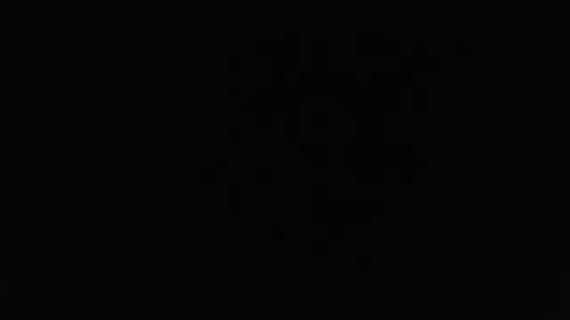 sacoa online show from November 19, 2:50 pm