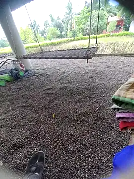 Desi Horny Boys online show from September 15, 6:13 am