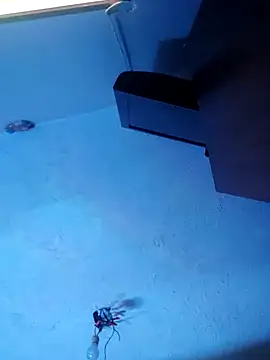 melisa hot420 online show from November 8, 8:25 am