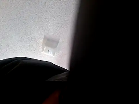 wodash9921 online show from October 22, 4:07 pm