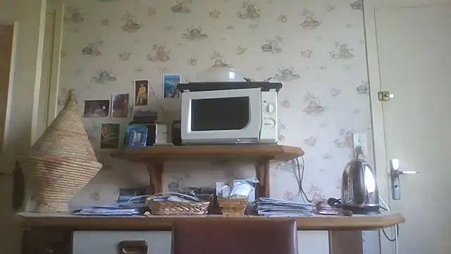 Snapshot of gegevincent chatting on April 15, 11:28 am gegevincent online show from April 15, 11:28 am