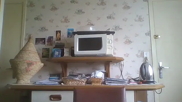 Snapshot of gegevincent chatting on May 2, 11:37 am gegevincent online show from May 2, 11:37 am