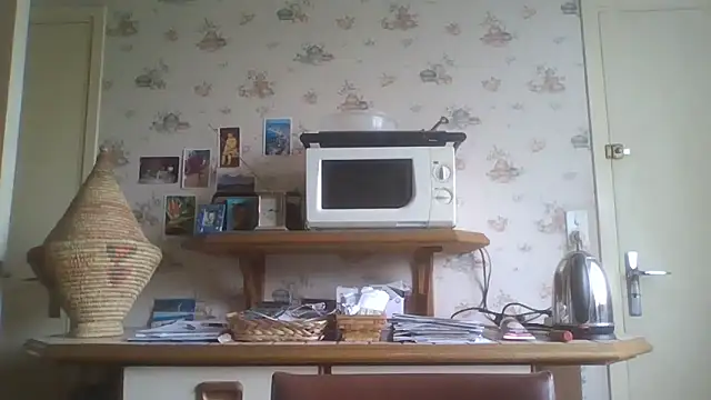 Snapshot of gegevincent chatting on May 3, 11:27 am gegevincent online show from May 3, 11:27 am