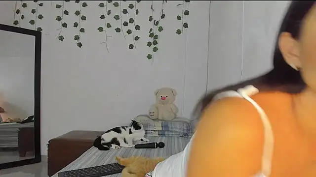 PureFire20 online show from November 19, 9:20 am