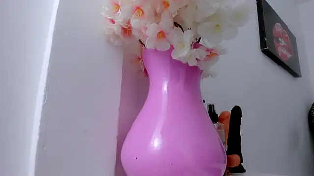 Snapshot of eimy_skinny_ chatting on January 18, 1:04 pm eimy skinny online show from January 18, 1:04 pm