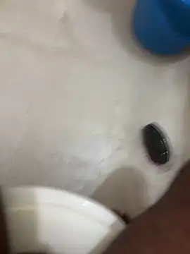 pussy hunter0 online show from July 2, 2:22 am