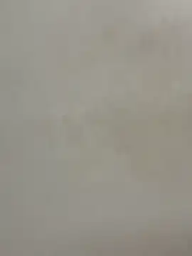 Cute-Sakhi online show from December 15, 1:59 pm