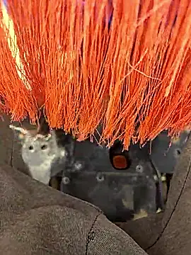 Telugu person12 online show from January 12, 7:57 am