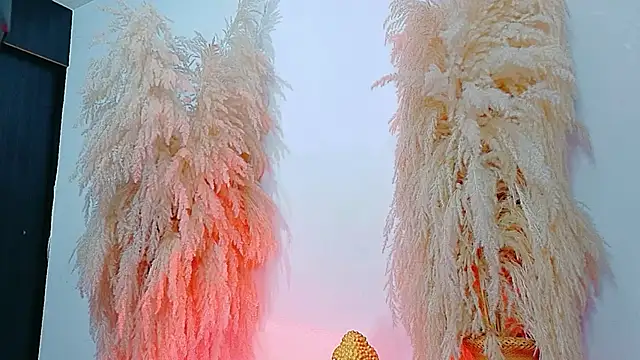 Snapshot of JulietaDavis chatting on February 4, 9:37 am JulietaDavis online show from February 4, 9:37 am