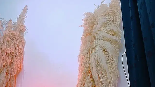 Snapshot of JulietaDavis chatting on February 20, 9:32 am JulietaDavis online show from February 20, 9:32 am