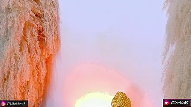 JulietaDavis online show from April 22, 9:33 am