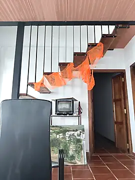 Hiroshi Shen online show from November 2, 12:07 pm