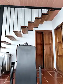 Hiroshi Shen online show from November 15, 11:29 am