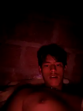 Snapshot of Hiroshi_Shen chatting on April 4, 3:49 am Hiroshi Shen online show from April 4, 3:49 am