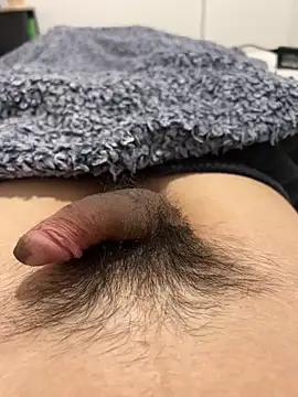 Snapshot of josefasanchez chatting on October 10, 8:08 pm josefasanchez online show from October 10, 8:08 pm