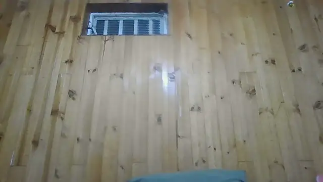 Roselingalvis13 online show from December 3, 3:03 am