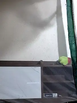 Snapshot of Maria2299 chatting on November 6, 5:36 pm Maria2299 online show from November 6, 5:36 pm