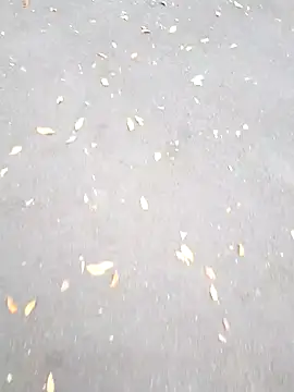 Arya Lexy online show from October 26, 2:45 pm