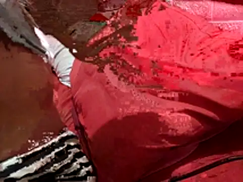 Snapshot of Kellye_hotTs chatting on February 4, 2:17 am Kellye hotTs online show from February 4, 2:17 am