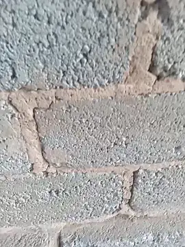 Snapshot of KingBonga chatting on October 17, 4:37 am KingBonga online show from October 17, 4:37 am