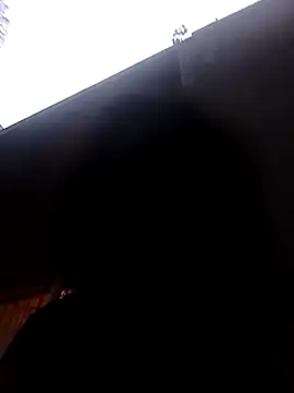 RFeltomWhitJ online show from November 8, 4:40 pm