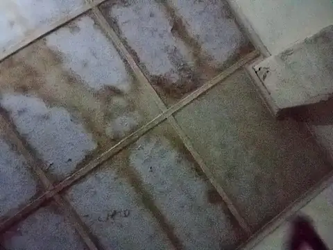 RFeltomWhitJ online show from November 17, 1:11 am