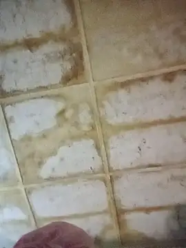 RFeltomWhitJ online show from November 18, 11:15 pm