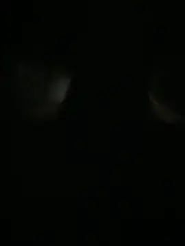 Snapshot of Archie-Davis chatting on October 31, 7:26 pm Archie-Davis online show from October 31, 7:26 pm